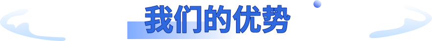 我们的优势