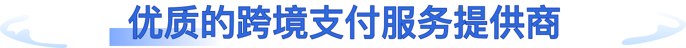 权威的跨境支付服务提供商